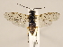  ( - ZMUO.029450.1)  @11 [ ] CreativeCommons - Attribution Non-Commercial (2018) Marko Mutanen University of Oulu
