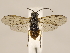  ( - ZMUO.029510.1)  @11 [ ] CreativeCommons - Attribution Non-Commercial (2018) Marko Mutanen University of Oulu