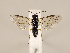  ( - ZMUO.029515.1)  @12 [ ] CreativeCommons - Attribution Non-Commercial (2018) Marko Mutanen University of Oulu