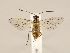  ( - ZMUO.030898)  @13 [ ] CreativeCommons - Attribution Non-Commercial (2018) Marko Mutanen University of Oulu