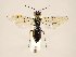 ( - ZMUO.030957)  @11 [ ] CreativeCommons - Attribution Non-Commercial (2018) Marko Mutanen University of Oulu