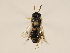  ( - ZMUO.030974)  @11 [ ] CreativeCommons - Attribution Non-Commercial (2018) Marko Mutanen University of Oulu