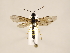  ( - ZMUO.031002)  @13 [ ] CreativeCommons - Attribution Non-Commercial (2018) Marko Mutanen University of Oulu
