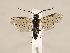 ( - ZMUO.031066)  @14 [ ] CreativeCommons - Attribution Non-Commercial (2018) Marko Mutanen University of Oulu