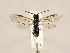  ( - ZMUO.031070)  @12 [ ] CreativeCommons - Attribution Non-Commercial (2018) Marko Mutanen University of Oulu