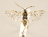  ( - ZMUO.031097)  @13 [ ] CreativeCommons - Attribution Non-Commercial (2018) Marko Mutanen University of Oulu