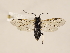  ( - ZMUO.031101)  @12 [ ] CreativeCommons - Attribution Non-Commercial (2018) Marko Mutanen University of Oulu