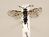  ( - ZMUO.031224)  @14 [ ] CreativeCommons - Attribution Non-Commercial (2018) Marko Mutanen University of Oulu