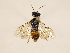  ( - ZMUO.031243)  @12 [ ] CreativeCommons - Attribution Non-Commercial (2018) Marko Mutanen University of Oulu