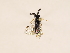  ( - ZMUO.031247)  @11 [ ] CreativeCommons - Attribution Non-Commercial (2018) Marko Mutanen University of Oulu