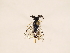  ( - ZMUO.031248)  @11 [ ] CreativeCommons - Attribution Non-Commercial (2018) Marko Mutanen University of Oulu