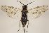  ( - ZMUO.031540)  @13 [ ] CreativeCommons - Attribution Non-Commercial (2018) Marko Mutanen University of Oulu