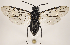  ( - ZMUO.031902)  @12 [ ] CreativeCommons - Attribution Non-Commercial (2018) Marko Mutanen University of Oulu