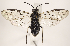  ( - ZMUO.031905)  @13 [ ] CreativeCommons - Attribution Non-Commercial (2018) Marko Mutanen University of Oulu