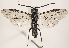  ( - ZMUO.031975)  @13 [ ] CreativeCommons - Attribution Non-Commercial (2018) Marko Mutanen University of Oulu