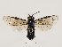  ( - ZMUO.032018)  @12 [ ] CreativeCommons - Attribution Non-Commercial (2018) Marko Mutanen University of Oulu