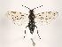  ( - ZMUO.032031)  @13 [ ] CreativeCommons - Attribution Non-Commercial (2018) Marko Mutanen University of Oulu