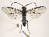  ( - ZMUO.032073)  @13 [ ] CreativeCommons - Attribution Non-Commercial (2018) Marko Mutanen University of Oulu