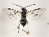  ( - ZMUO.032077)  @13 [ ] CreativeCommons - Attribution Non-Commercial (2018) Marko Mutanen University of Oulu