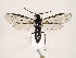  ( - ZMUO.032099)  @14 [ ] CreativeCommons - Attribution Non-Commercial (2018) Marko Mutanen University of Oulu