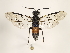  ( - ZMUO.032105)  @12 [ ] CreativeCommons - Attribution Non-Commercial (2018) Marko Mutanen University of Oulu