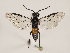  ( - ZMUO.032111)  @12 [ ] CreativeCommons - Attribution Non-Commercial (2018) Marko Mutanen University of Oulu
