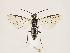  ( - ZMUO.032139)  @13 [ ] CreativeCommons - Attribution Non-Commercial (2018) Marko Mutanen University of Oulu