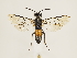  ( - ZMUO.032140)  @12 [ ] CreativeCommons - Attribution Non-Commercial (2018) Marko Mutanen University of Oulu
