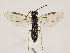  ( - ZMUO.032153)  @12 [ ] CreativeCommons - Attribution Non-Commercial (2018) Marko Mutanen University of Oulu