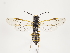  ( - ZMUO.032193)  @14 [ ] CreativeCommons - Attribution Non-Commercial (2018) Marko Mutanen University of Oulu