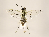  ( - ZMUO.032230)  @12 [ ] CreativeCommons - Attribution Non-Commercial (2018) Marko Mutanen University of Oulu