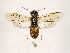  ( - ZMUO.032233)  @12 [ ] CreativeCommons - Attribution Non-Commercial (2018) Marko Mutanen University of Oulu