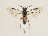  ( - ZMUO.032252)  @12 [ ] CreativeCommons - Attribution Non-Commercial (2018) Marko Mutanen University of Oulu
