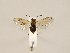  ( - ZMUO.032270)  @12 [ ] CreativeCommons - Attribution Non-Commercial (2018) Marko Mutanen University of Oulu