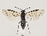  ( - ZMUO.032301)  @15 [ ] CreativeCommons - Attribution Non-Commercial (2018) Marko Mutanen University of Oulu