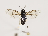  ( - ZMUO.032317)  @12 [ ] CreativeCommons - Attribution Non-Commercial (2018) Marko Mutanen University of Oulu