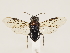  ( - ZMUO.032324)  @14 [ ] CreativeCommons - Attribution Non-Commercial (2018) Marko Mutanen University of Oulu