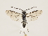  ( - ZMUO.032330)  @13 [ ] CreativeCommons - Attribution Non-Commercial (2018) Marko Mutanen University of Oulu