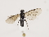 ( - ZMUO.032331)  @13 [ ] CreativeCommons - Attribution Non-Commercial (2018) Marko Mutanen University of Oulu