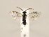  ( - ZMUO.032367)  @12 [ ] CreativeCommons - Attribution Non-Commercial (2018) Marko Mutanen University of Oulu