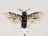  ( - ZMUO.032384)  @12 [ ] CreativeCommons - Attribution Non-Commercial (2018) Marko Mutanen University of Oulu