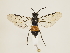  ( - ZMUO.032390)  @12 [ ] CreativeCommons - Attribution Non-Commercial (2018) Marko Mutanen University of Oulu