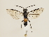  ( - ZMUO.032393)  @12 [ ] CreativeCommons - Attribution Non-Commercial (2018) Marko Mutanen University of Oulu