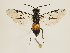  ( - ZMUO.032399)  @12 [ ] CreativeCommons - Attribution Non-Commercial (2018) Marko Mutanen University of Oulu