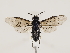  ( - ZMUO.032402)  @12 [ ] CreativeCommons - Attribution Non-Commercial (2018) Marko Mutanen University of Oulu