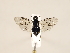  ( - ZMUO.032421)  @13 [ ] CreativeCommons - Attribution Non-Commercial (2018) Marko Mutanen University of Oulu