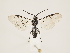  ( - ZMUO.032450)  @13 [ ] CreativeCommons - Attribution Non-Commercial (2018) Marko Mutanen University of Oulu