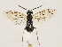  ( - ZMUO.032453)  @13 [ ] CreativeCommons - Attribution Non-Commercial (2018) Marko Mutanen University of Oulu
