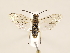  ( - ZMUO.032469)  @12 [ ] CreativeCommons - Attribution Non-Commercial (2018) Marko Mutanen University of Oulu