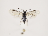  ( - ZMUO.032472)  @14 [ ] CreativeCommons - Attribution Non-Commercial (2018) Marko Mutanen University of Oulu